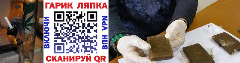 ГАШ Premium  где продают   Руза 
