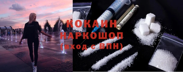 шишки Аркадак