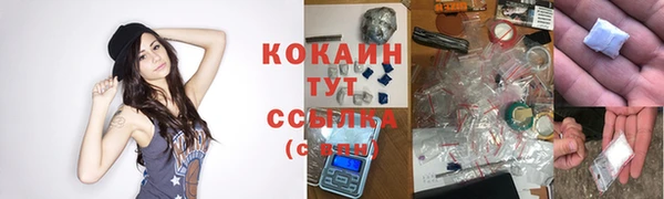 шишки Аркадак