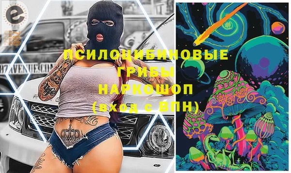 не бодяженный Арсеньев
