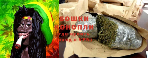 шишки Аркадак