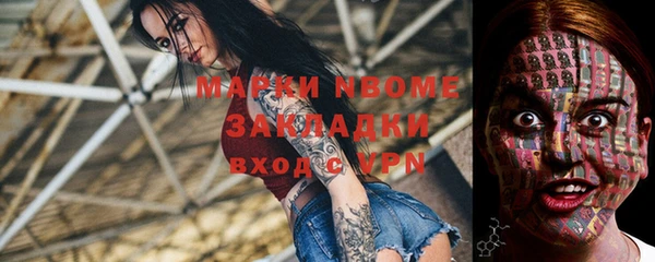 шишки Аркадак