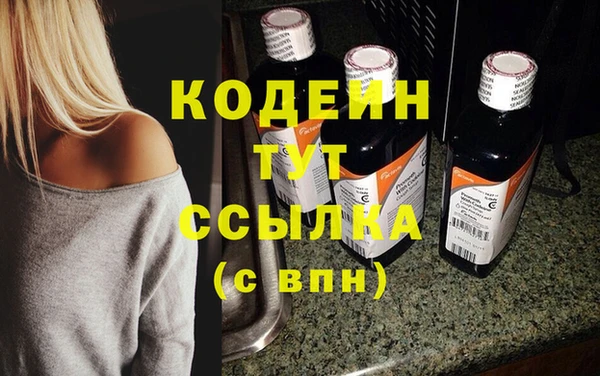 шишки Аркадак