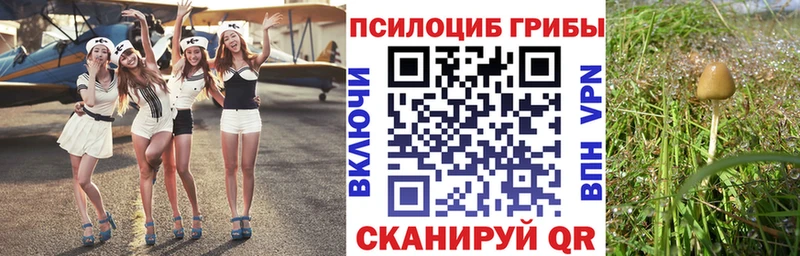 Галлюциногенные грибы мицелий ОМГ ОМГ онион Руза